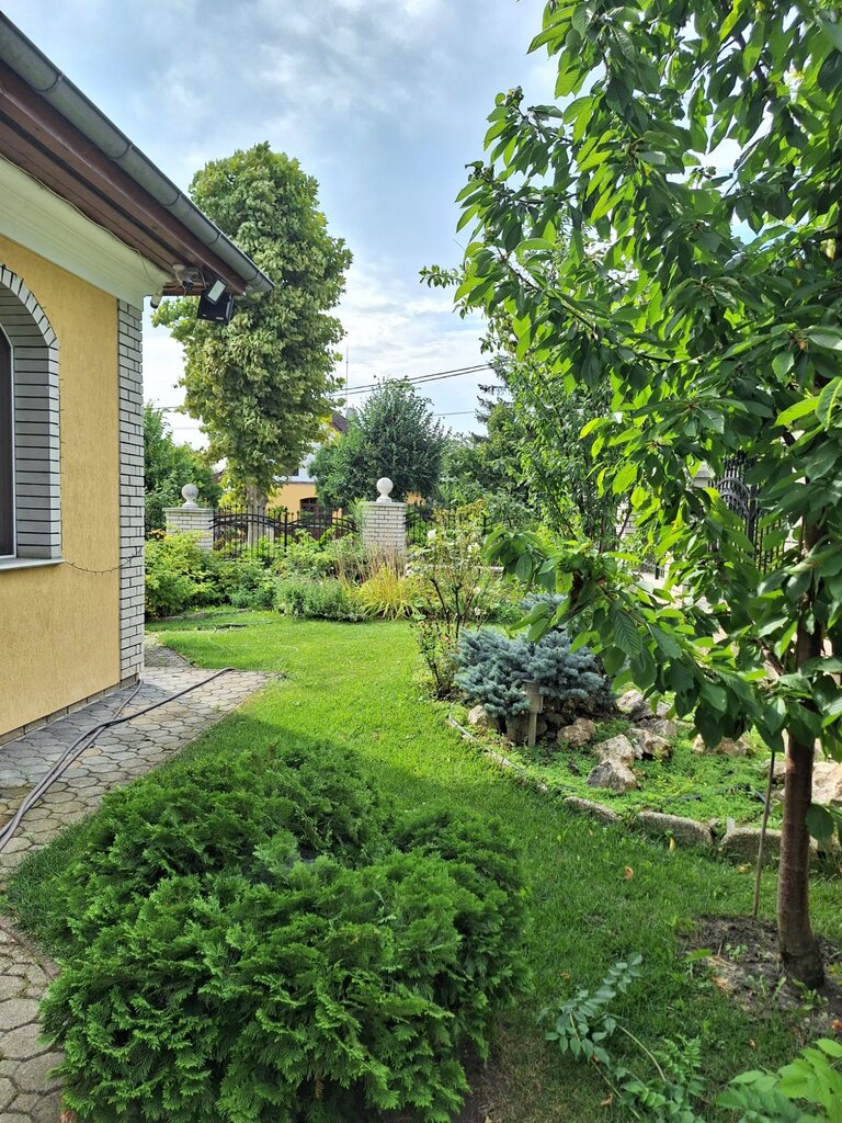 Gondozott kert zöld pázsittal és változatos növényzettel